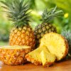 ingredient icon